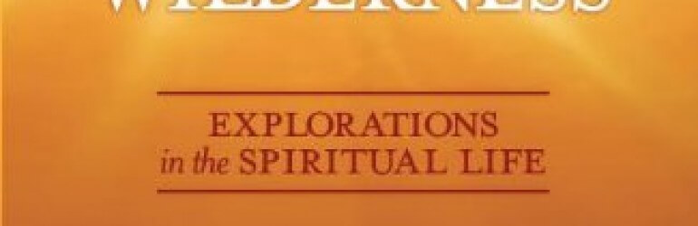Light in the Wilderness – Explorations in the Spiritual Life [Kindle Edition]