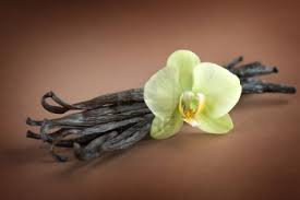 vanilla beans with flower pic